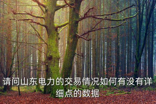 請(qǐng)問(wèn)山東電力的交易情況如何有沒(méi)有詳細(xì)點(diǎn)的數(shù)據(jù)