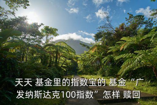  天天 基金里的指數(shù)寶的 基金“廣發(fā)納斯達克100指數(shù)”怎樣 贖回