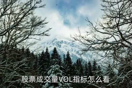 股票成交量VOL指標怎么看