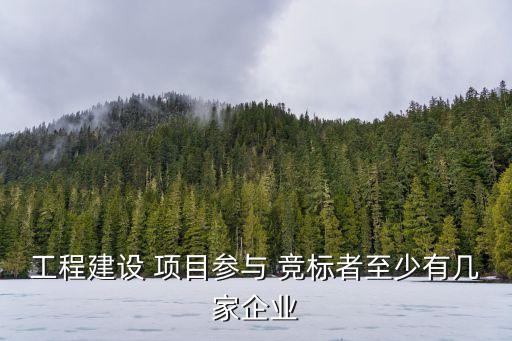 工程建設(shè) 項(xiàng)目參與 競(jìng)標(biāo)者至少有幾家企業(yè)