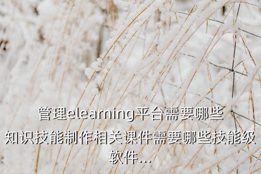 管理elearning平臺(tái)需要哪些知識(shí)技能制作相關(guān)課件需要哪些技能級(jí)軟件...