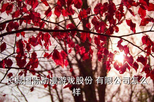 長(zhǎng)城國(guó)際動(dòng)漫游戲股份 有限公司怎么樣