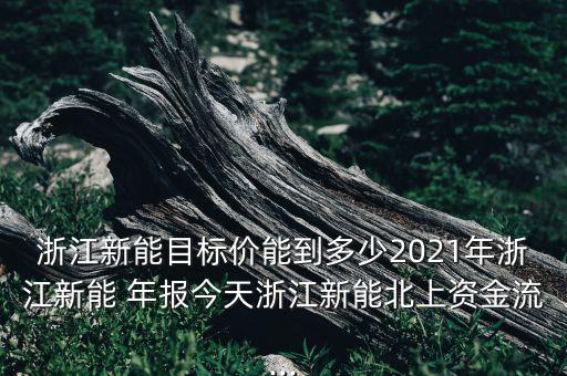 浙江新能目標價能到多少2021年浙江新能 年報今天浙江新能北上資金流...