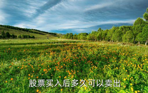 股票什么時候不能賣,賣股票的錢什么時候可以轉(zhuǎn)出來