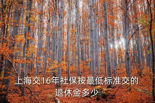  上海交16年社保按最低標(biāo)準(zhǔn)交的 退休金多少