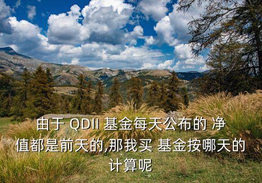 由于 QDII 基金每天公布的 凈值都是前天的,那我買 基金按哪天的計算呢