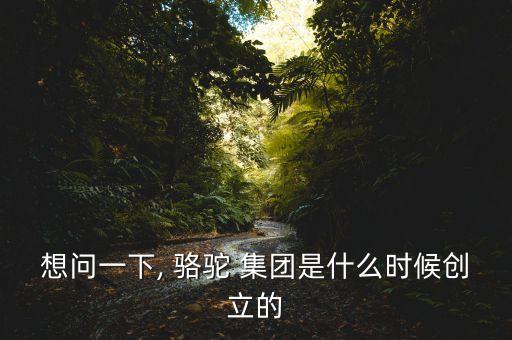 想問一下, 駱駝 集團是什么時候創(chuàng)立的