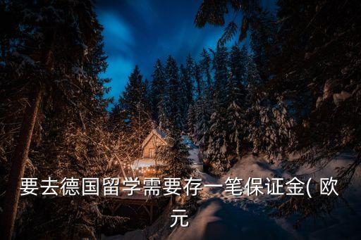 要去德國留學(xué)需要存一筆保證金( 歐元