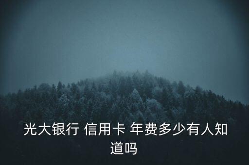  光大銀行 信用卡 年費(fèi)多少有人知道嗎