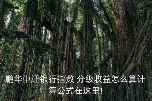 鵬華中證銀行指數(shù) 分級收益怎么算計算公式在這里!