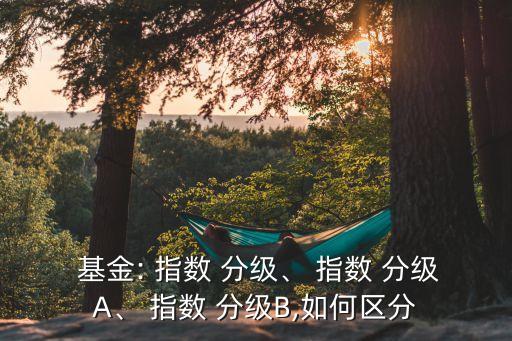  基金: 指數(shù) 分級、 指數(shù) 分級A、 指數(shù) 分級B,如何區(qū)分