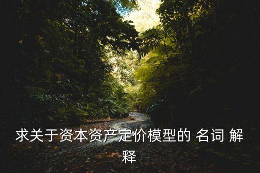 求關于資本資產(chǎn)定價模型的 名詞 解釋