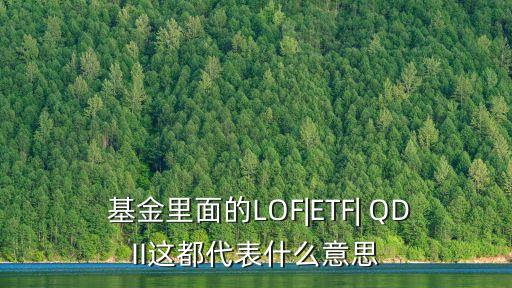 QDII基金分額凈值,關(guān)于qdii基金凈值的披露以下表述正確的是