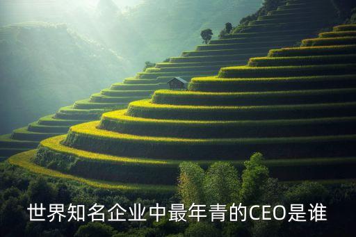 世界知名企業(yè)中最年青的CEO是誰(shuí)