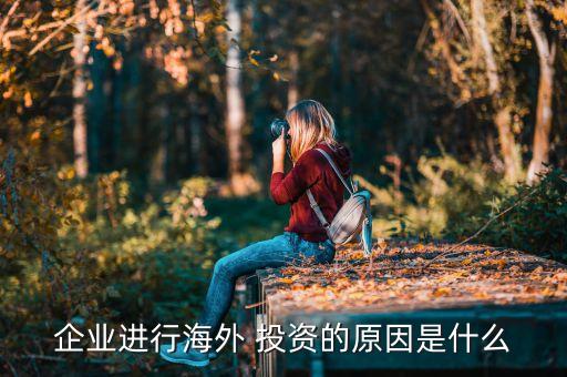 企業(yè)進(jìn)行海外 投資的原因是什么