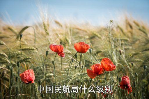 中國民航局什么級(jí)別