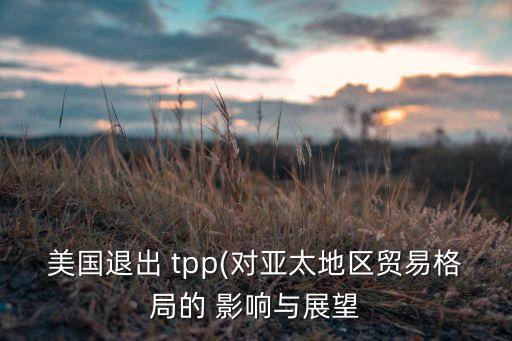 tpp中國經(jīng)濟與進(jìn)出口易的影響