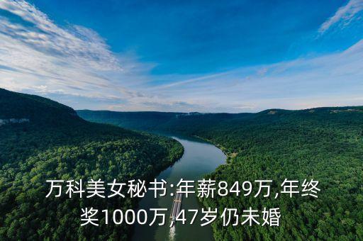  萬(wàn)科美女秘書:年薪849萬(wàn),年終獎(jiǎng)1000萬(wàn),47歲仍未婚