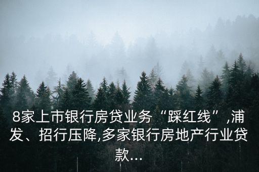 8家上市銀行房貸業(yè)務“踩紅線”,浦發(fā)、招行壓降,多家銀行房地產(chǎn)行業(yè)貸款...