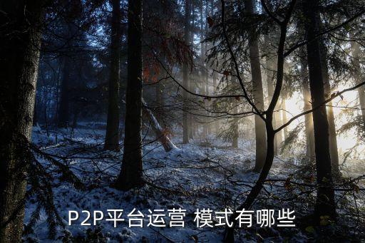 P2P平臺(tái)運(yùn)營 模式有哪些