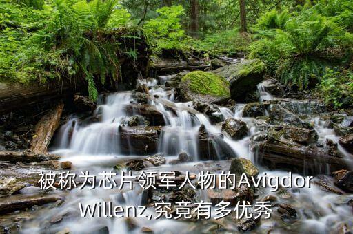 被稱為芯片領軍人物的AvigdorWillenz,究竟有多優(yōu)秀