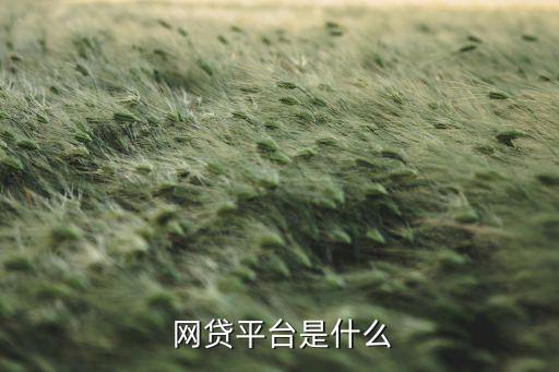  網(wǎng)貸平臺是什么