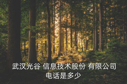  武漢光谷 信息技術(shù)股份 有限公司電話是多少