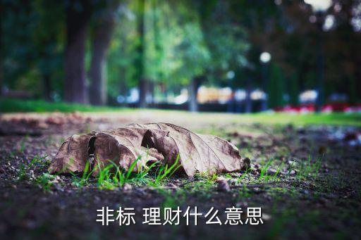 非標 理財什么意思