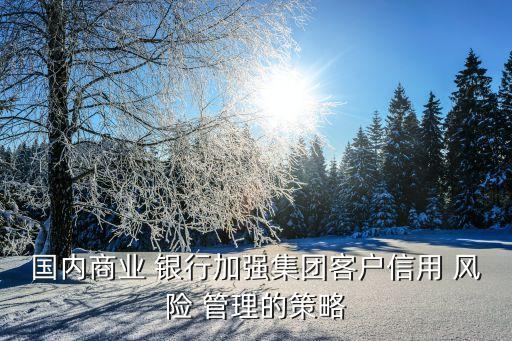 銀行風(fēng)險(xiǎn)管理支持營(yíng)銷,營(yíng)銷風(fēng)險(xiǎn)管理的主要內(nèi)容