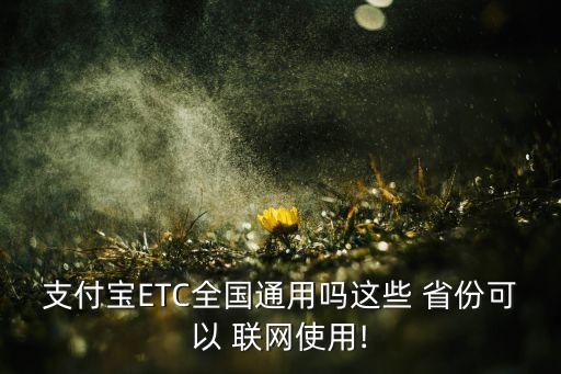 支付寶ETC全國通用嗎這些 省份可以 聯(lián)網(wǎng)使用!