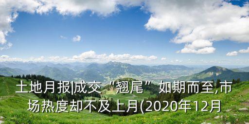 土地月報(bào)|成交“翹尾”如期而至,市場(chǎng)熱度卻不及上月(2020年12月