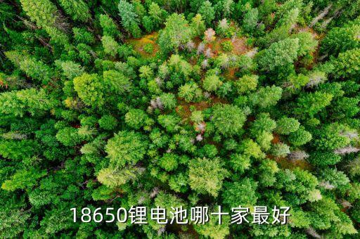 18650鋰電池哪十家最好