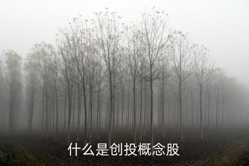 什么是創(chuàng)投概念股