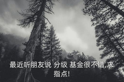 最近聽朋友說 分級(jí) 基金很不錯(cuò),求指點(diǎn)!