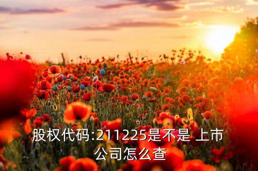 股權(quán)代碼:211225是不是 上市 公司怎么查