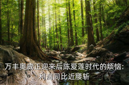 萬豐奧威正迎來后陳愛蓮時(shí)代的煩惱:利潤同比近腰斬