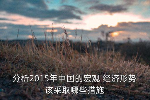 分析2015年中國(guó)的宏觀 經(jīng)濟(jì)形勢(shì)該采取哪些措施