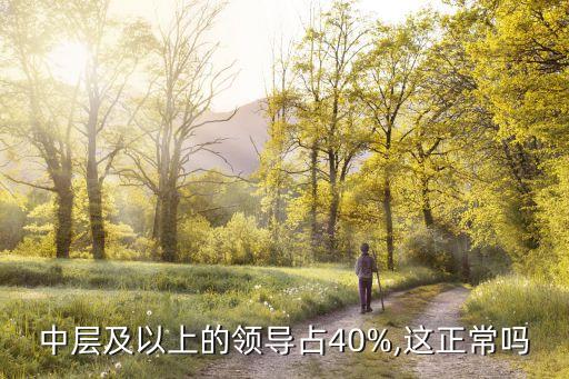 中層及以上的領(lǐng)導占40%,這正常嗎