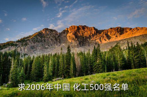 求2006年中國 化工500強名單