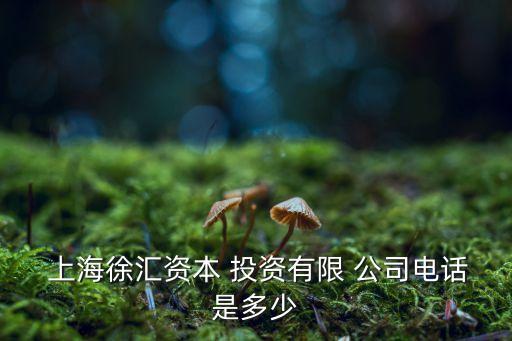 上海民晟投資有限責(zé)任公司,貴州省貴民發(fā)展投資有限責(zé)任公司