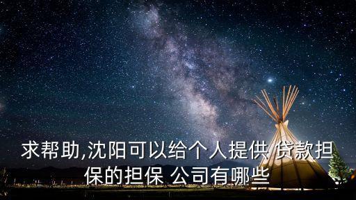 求幫助,沈陽可以給個(gè)人提供 貸款擔(dān)保的擔(dān)保 公司有哪些