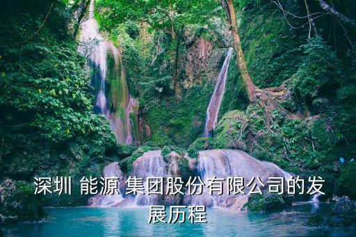  深圳 能源 集團(tuán)股份有限公司的發(fā)展歷程