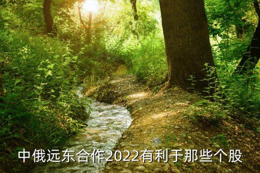 中俄遠(yuǎn)東合作2022有利于那些個(gè)股