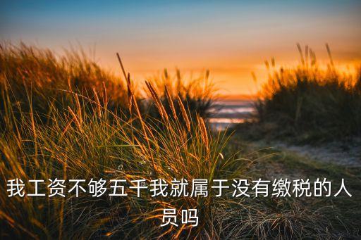 中國(guó)沒(méi)有納稅人,中國(guó)每個(gè)人都是納稅人嗎