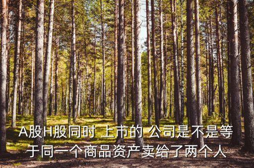 A股H股同時 上市的 公司是不是等于同一個商品資產賣給了兩個人