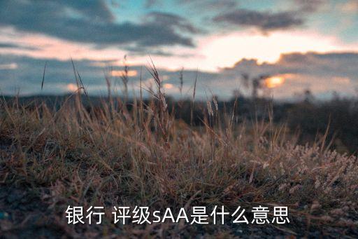 銀行 評級sAA是什么意思