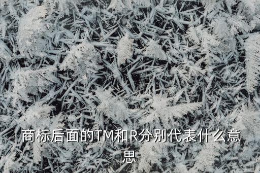  商標(biāo)后面的TM和R分別代表什么意思