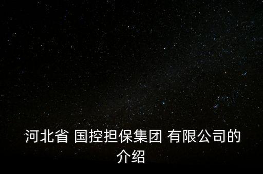  河北省 國(guó)控?fù)?dān)保集團(tuán) 有限公司的介紹