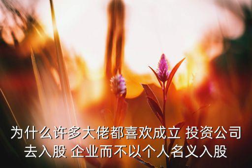 為什么許多大佬都喜歡成立 投資公司去入股 企業(yè)而不以個人名義入股