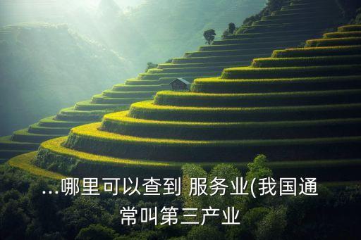 ...哪里可以查到 服務(wù)業(yè)(我國(guó)通常叫第三產(chǎn)業(yè)